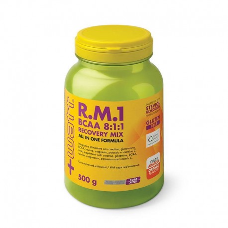 R.M.1 BCAA 8:1:1 Recovery Mix 500 gr