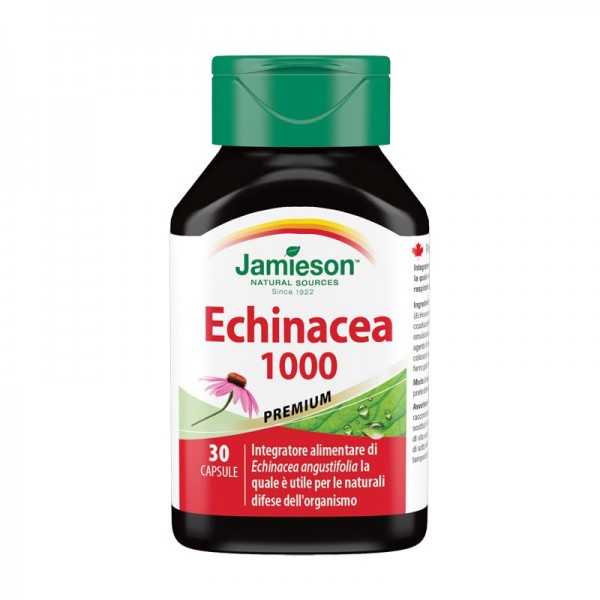 Echinacea 1000