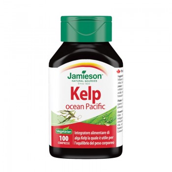 Alga Kelp - Ocean Pacific
