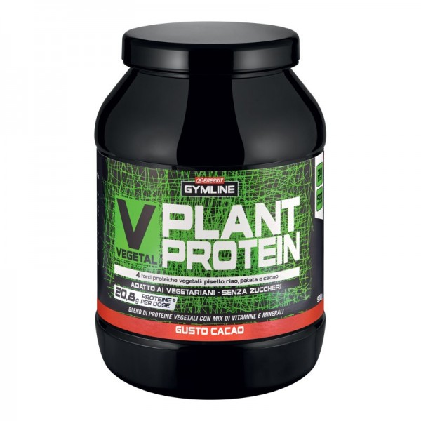 Vegetal Plant Protein