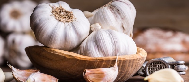 L'aglio abbassa la pressione: scopriamo i benefici di questo antibiotico naturale