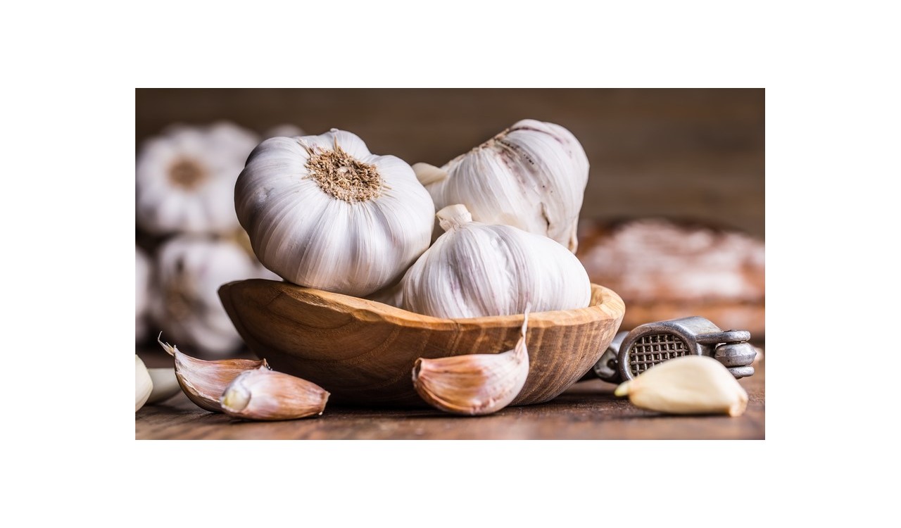 Aglio: scopriamo i benefici di questo antibiotico naturale