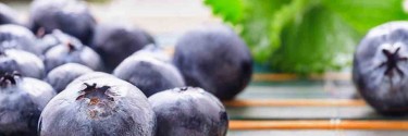 Flavonoidi Integratori: cosa sono e perché sono antiossidanti